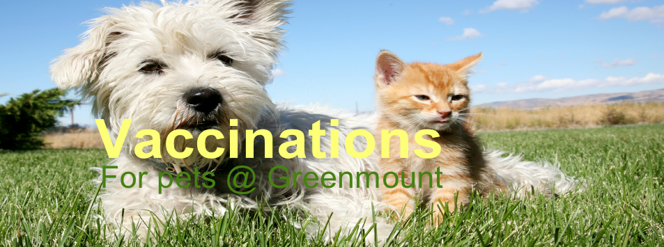 For pets @ Greenmount
