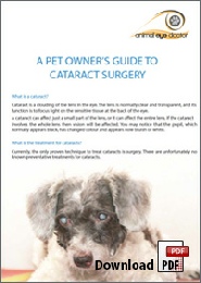 pet-owners-guide-to-cataract-surgery3.pdf